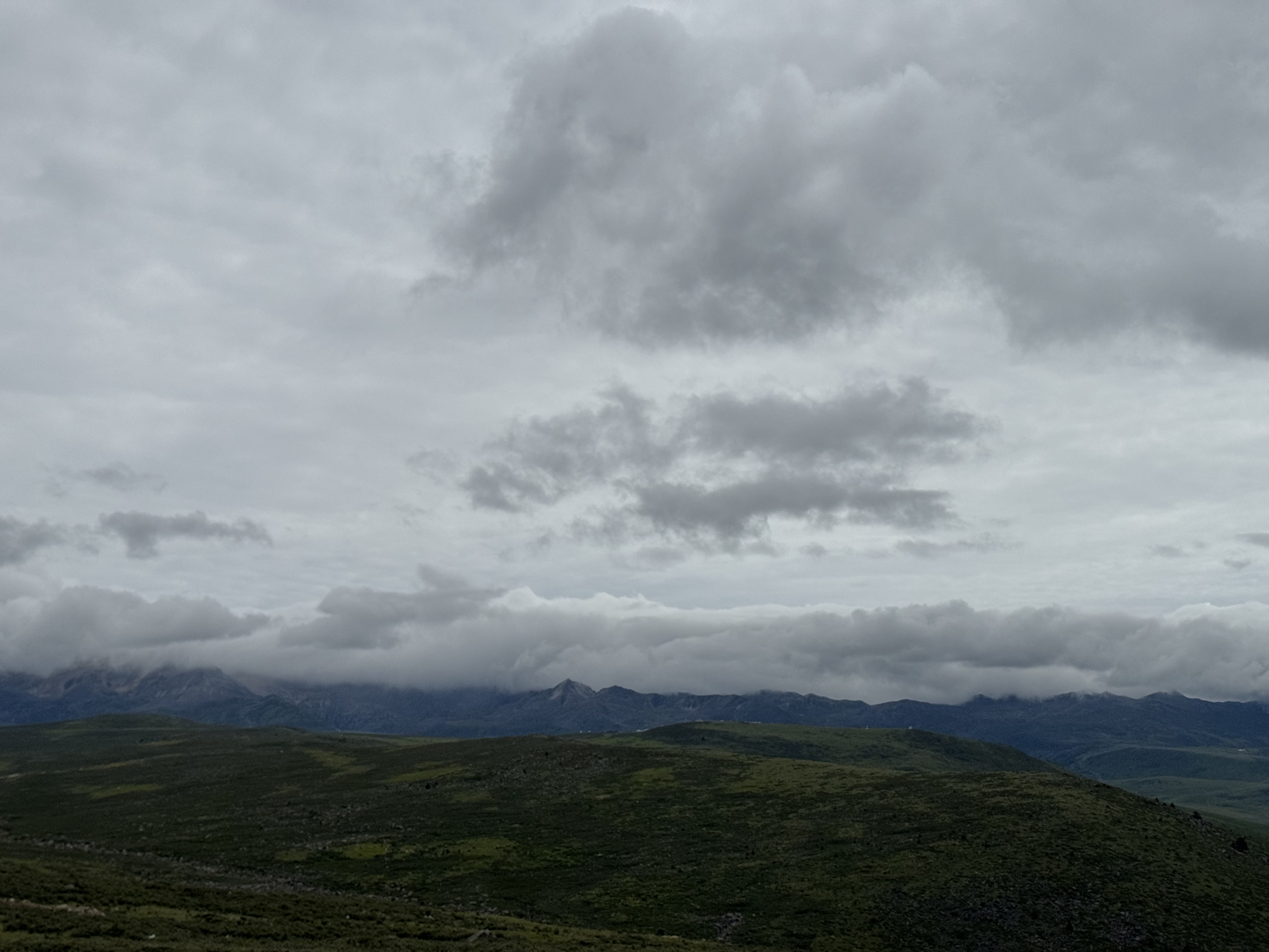 IMG 0599