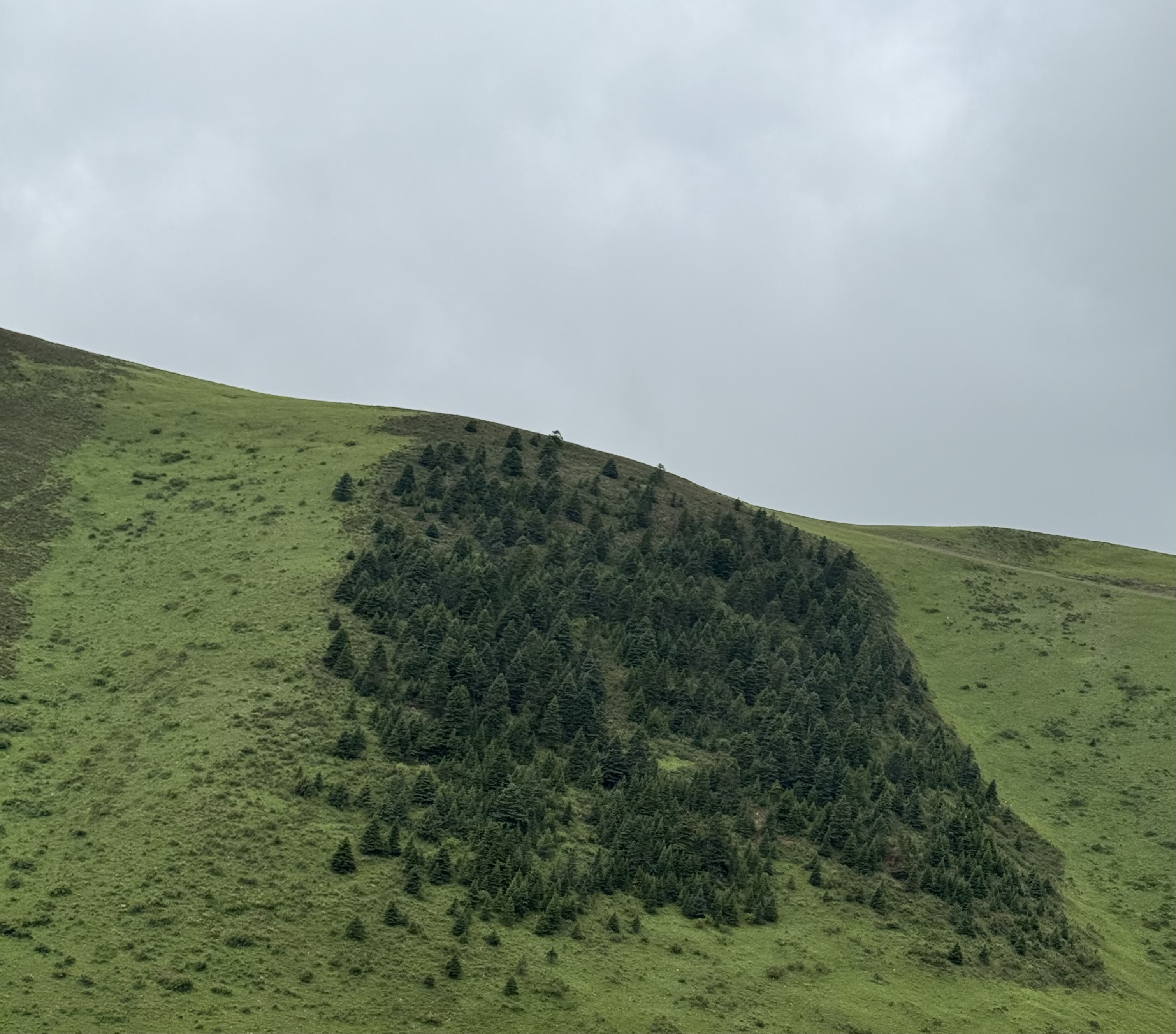 IMG 0606