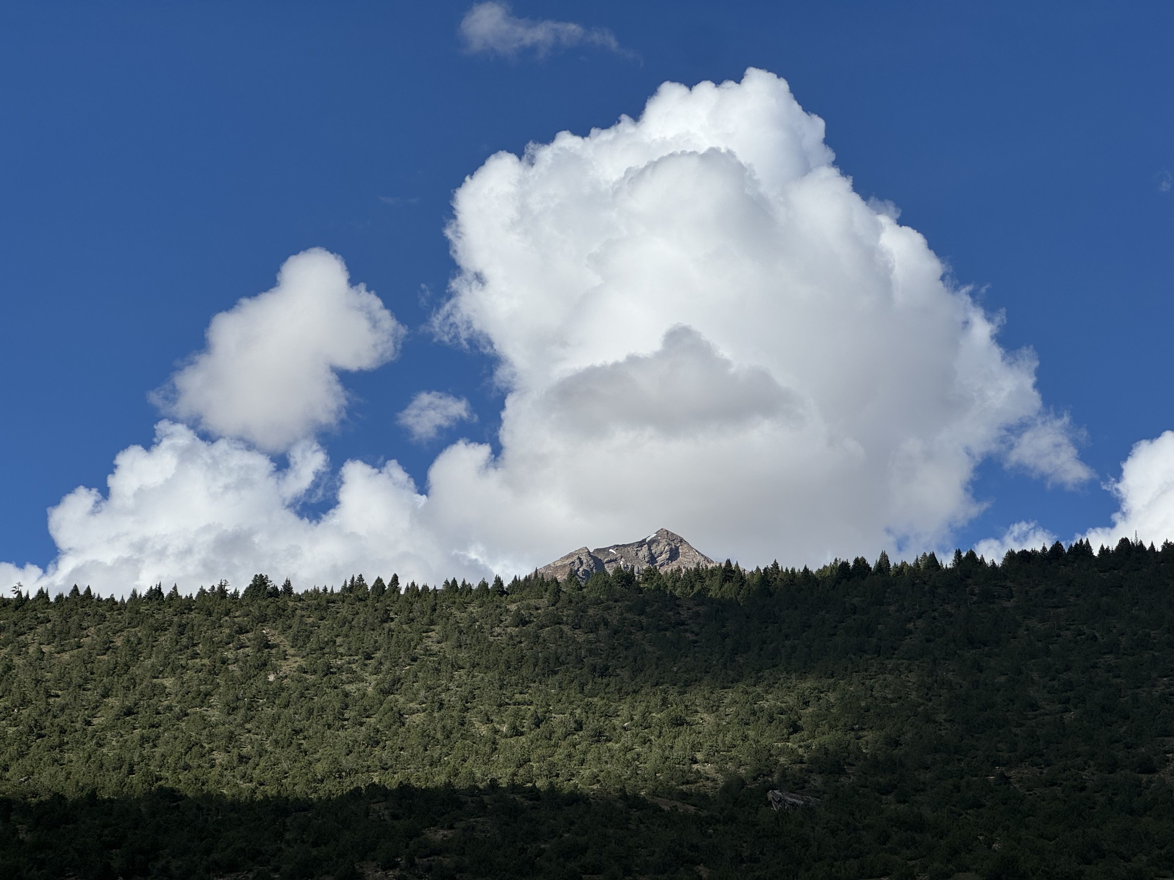 IMG 0633